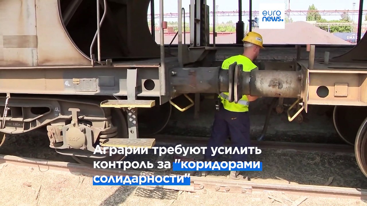 Фермеры Восточной Европы опасаются "серого" импорта украинского зерна