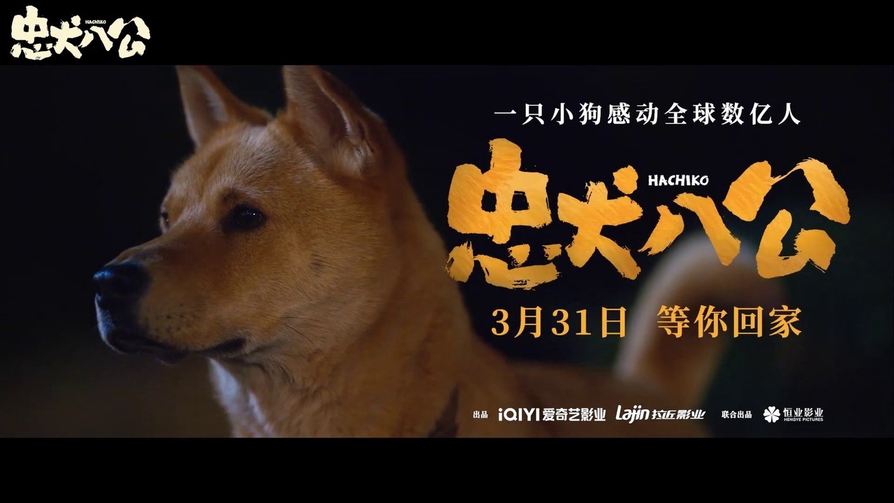 HACHIKO (2023) Trailer VO - CHINA