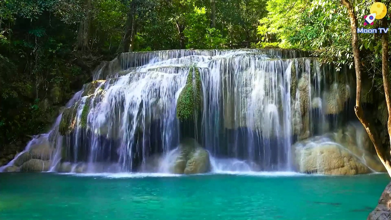 Yoga Meditation Music for Mind-Body Connection