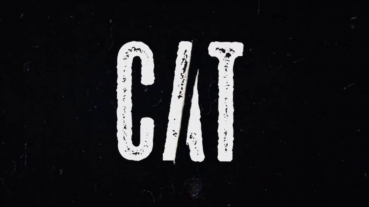 Cat E07 Web Series