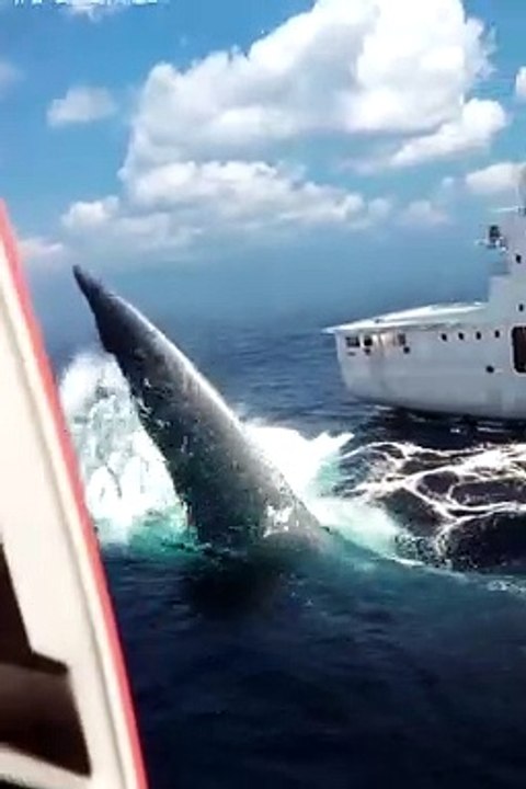 Adventure movie clips | movie clip | dailymotion