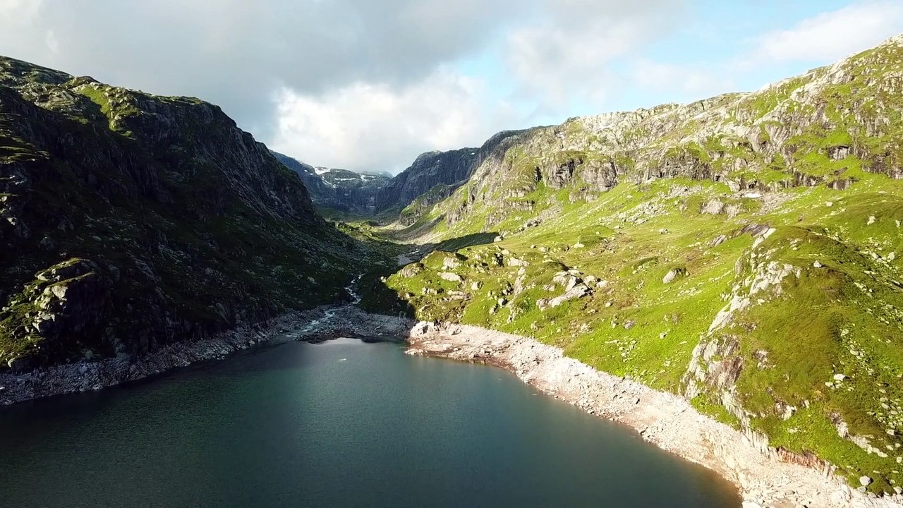 forest 4k scene usa forest