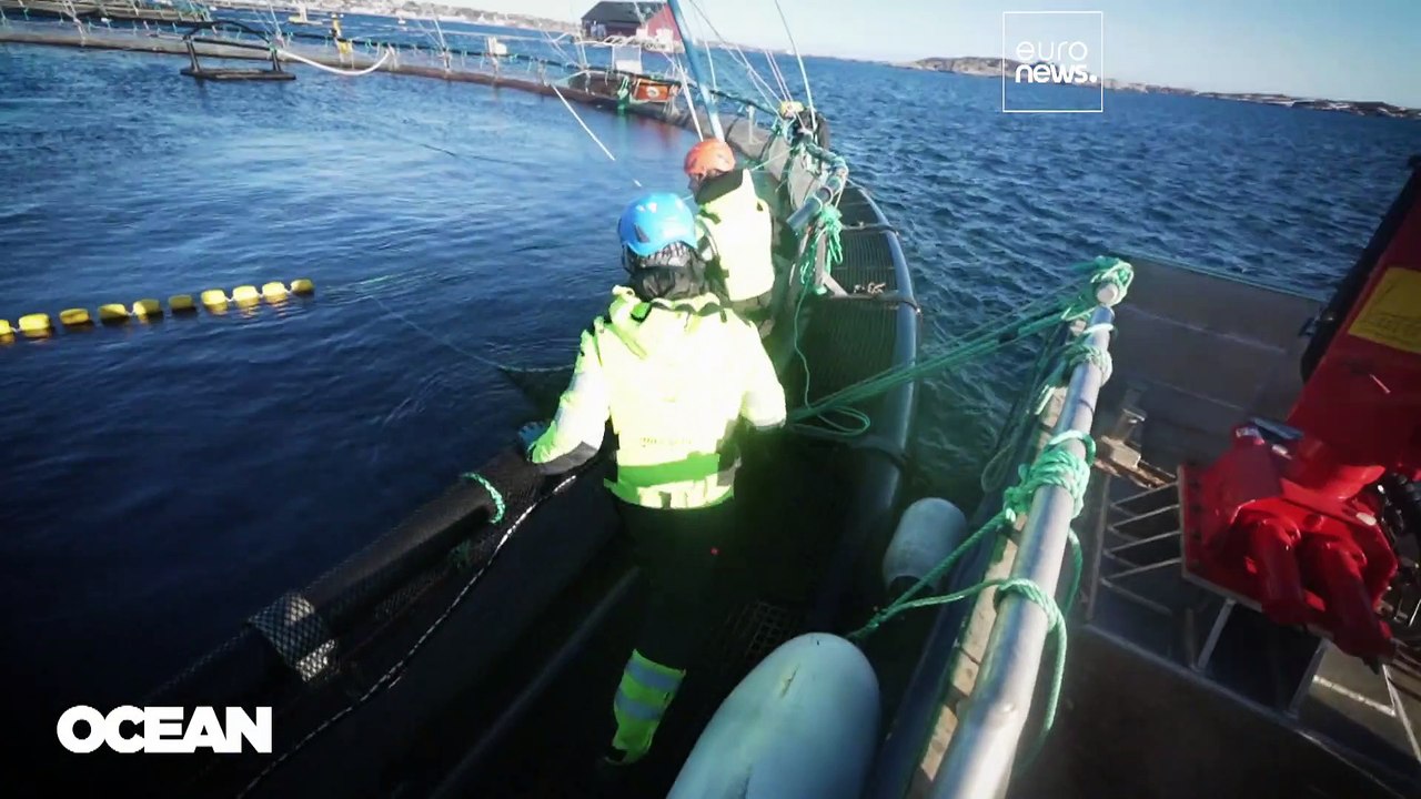 A jövő karrierjei Európa tengeri gazdaságában