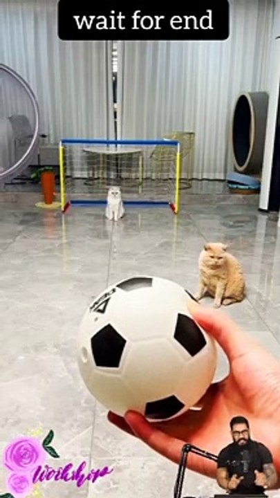 #trendingshorts #shortsvideo #shortvideos #shortsvideos #shortsvideotrends  #shortsvideochannel 15 (1)