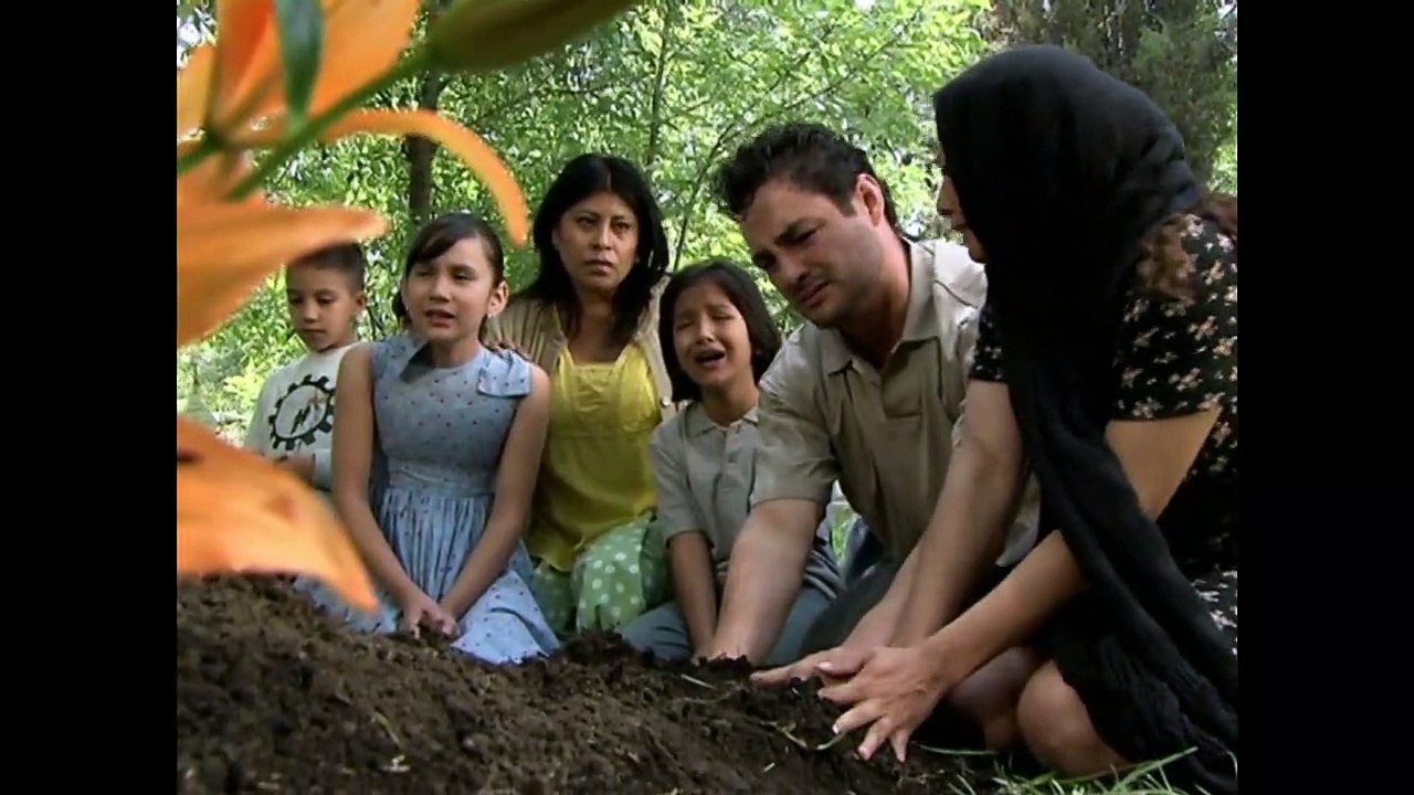 La  Rosa de Guadalupe 48