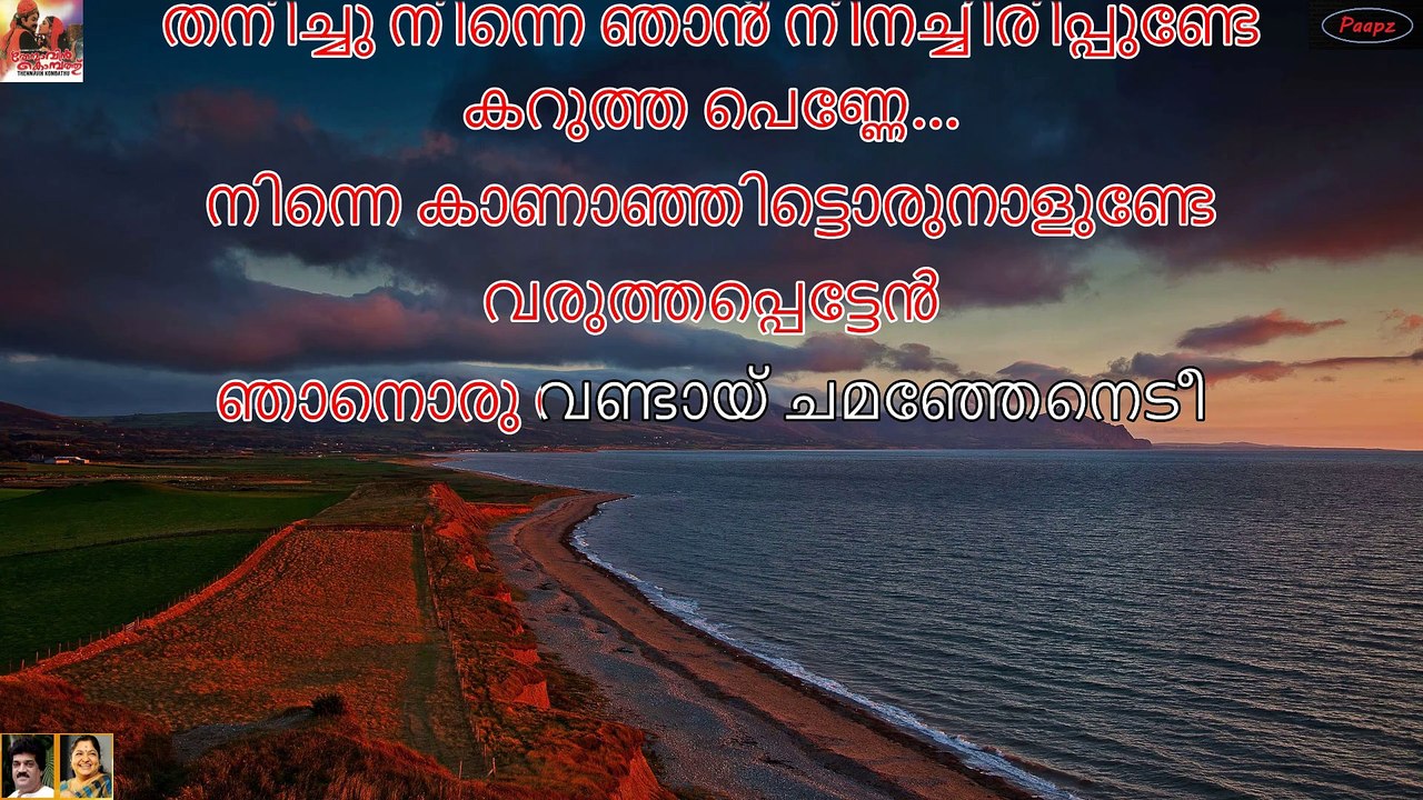 Karuthapenne NInne - Karaoke with Lyrics - Thenmavin kombathu - Malayalam Lyrics