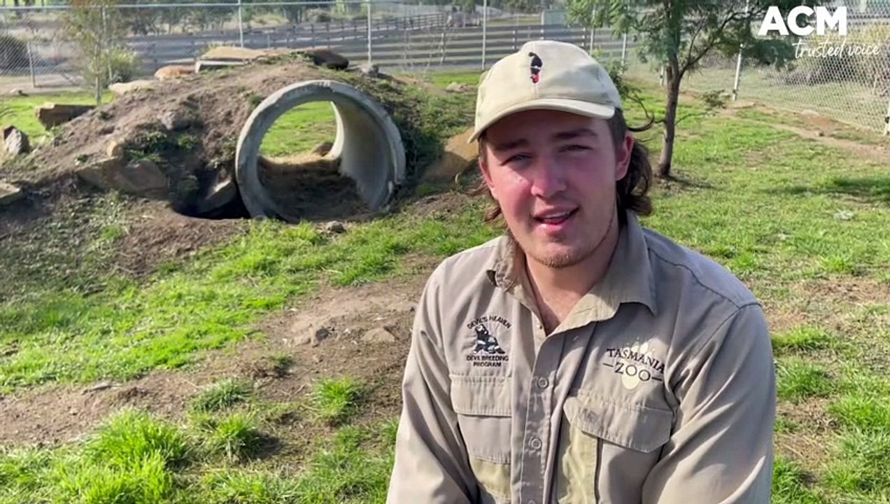 Tasmania Zoo welcomes two new additions