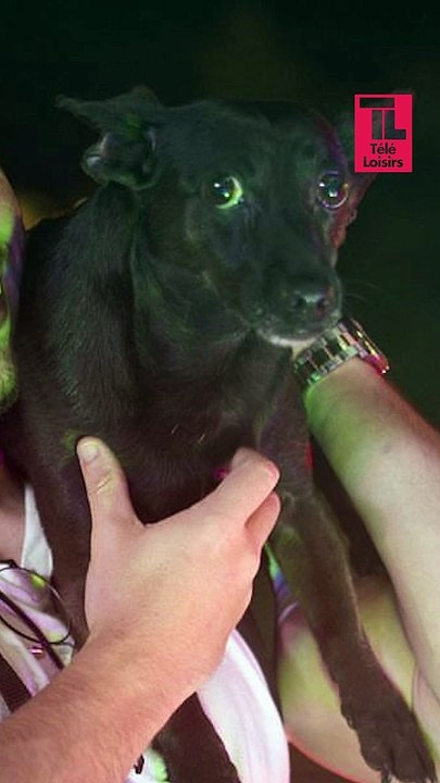 Jeck procède à son autobiographie