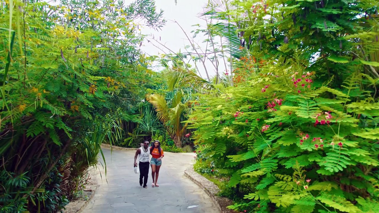 Harmonize Feat Bruce Melodie  Zanzibar Official Music Video