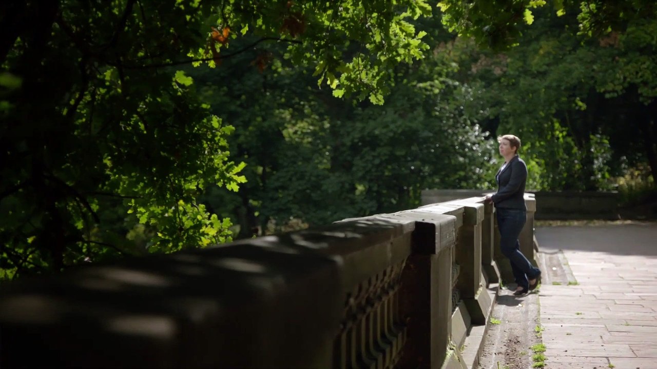 Horizon - The Mystery of Dark Energy