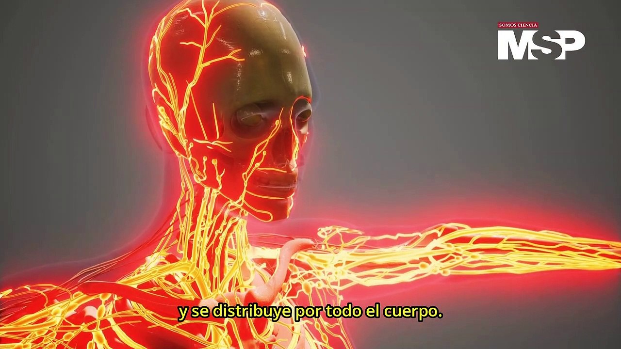 ¿Cómo funciona la aspirina? - #ExclusivoMSP