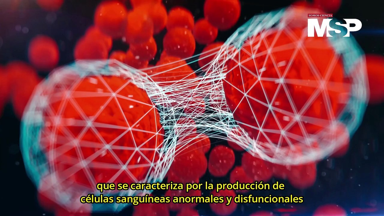 ¿Cómo funciona la leucemia? - #ExclusivoMSP