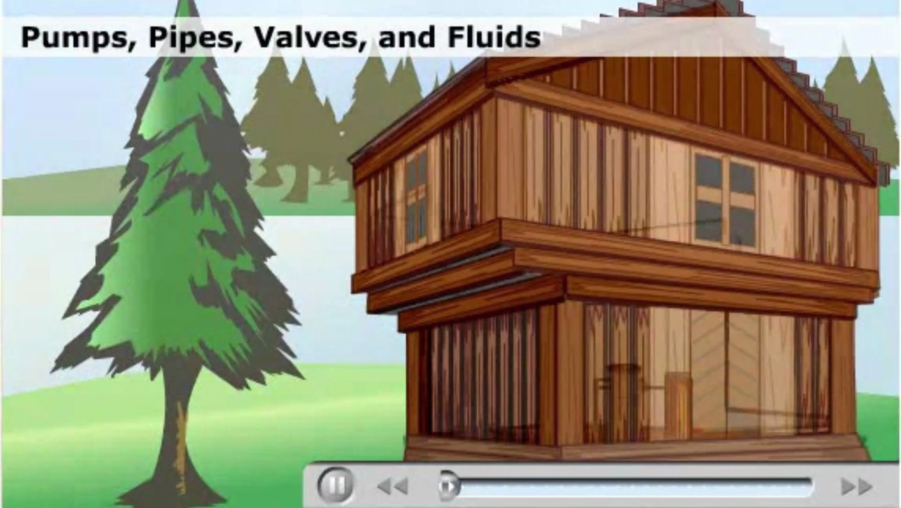 Introduction to Circulatory System