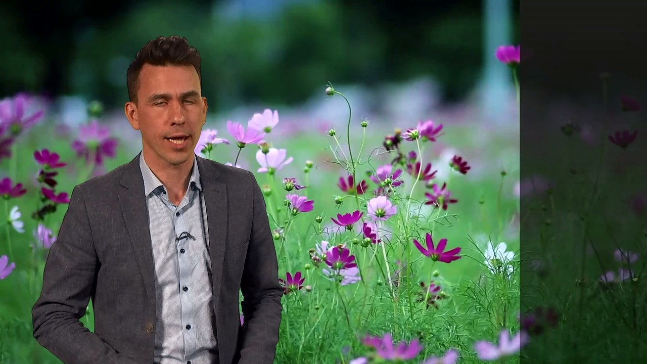 Weekend weather 18/05/23 – Warm days, cool nights – Met Office UK Weather Forecast