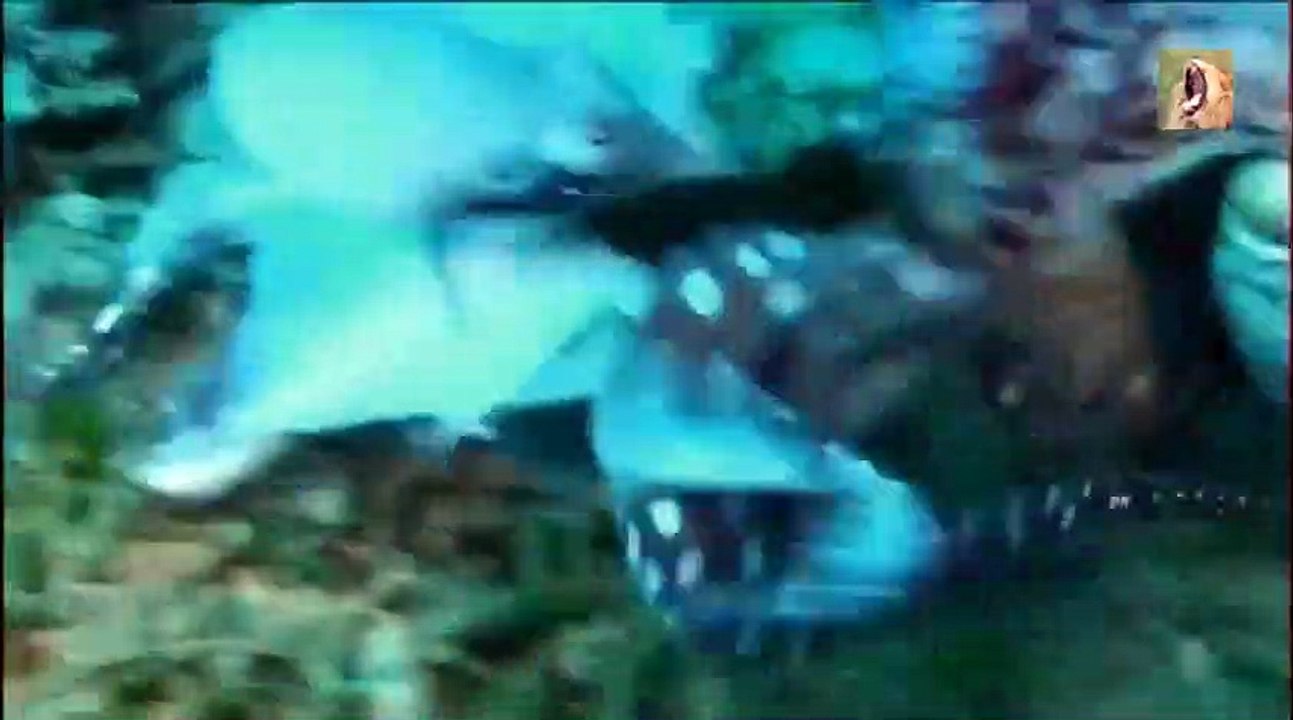 Les prédateurs d'Afrique documentaire animalier