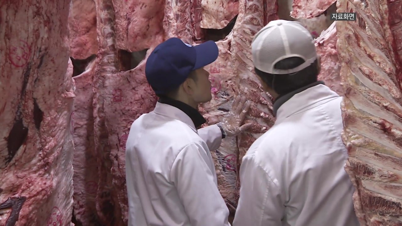 1등급 한우 도매가 열흘 만에 9% 올라...구제역 영향 / YTN