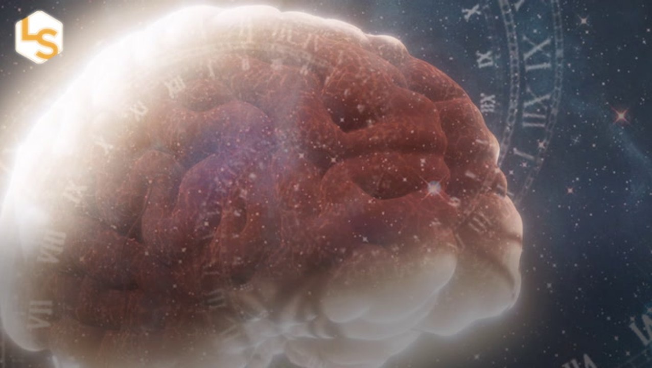 Tired Brain Cells May Distort Your Sense of Time