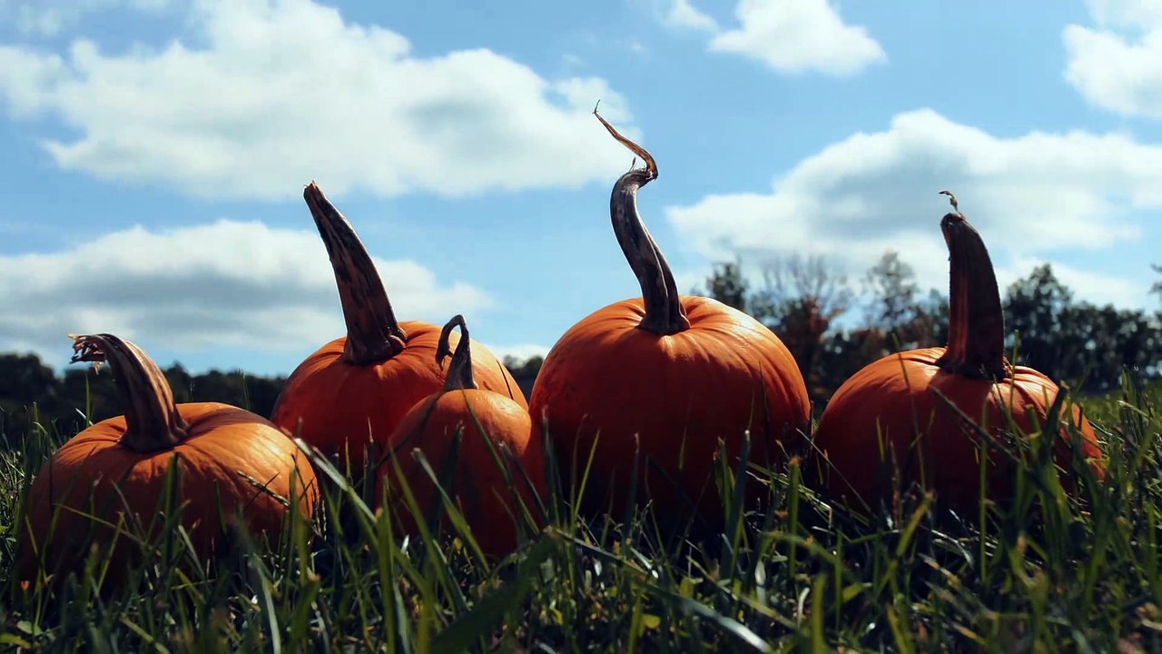 17 后浪 2023 赵露思 第17集