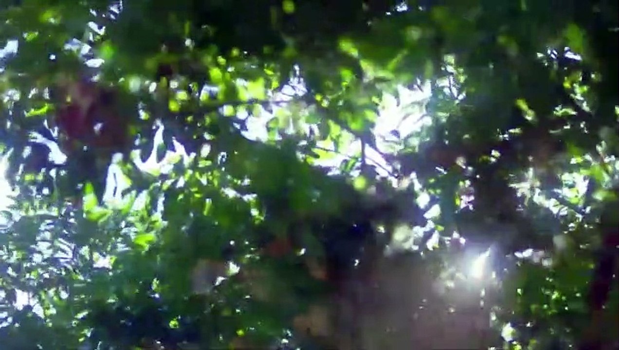 TAIWANESE BL DRAMA (2021) Episode 4 English sub TAIWAN BL SERIES