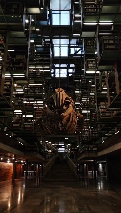 Biblioteca Vasconcelos: uno de los lugares más bellos de CDMX