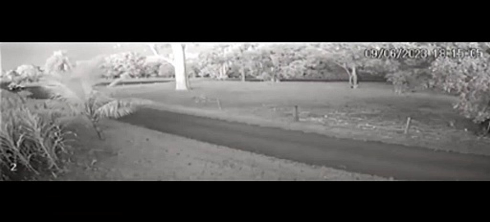 Vídeo do acidente que resultou na morte de tratorista na PR-364, em Palotina