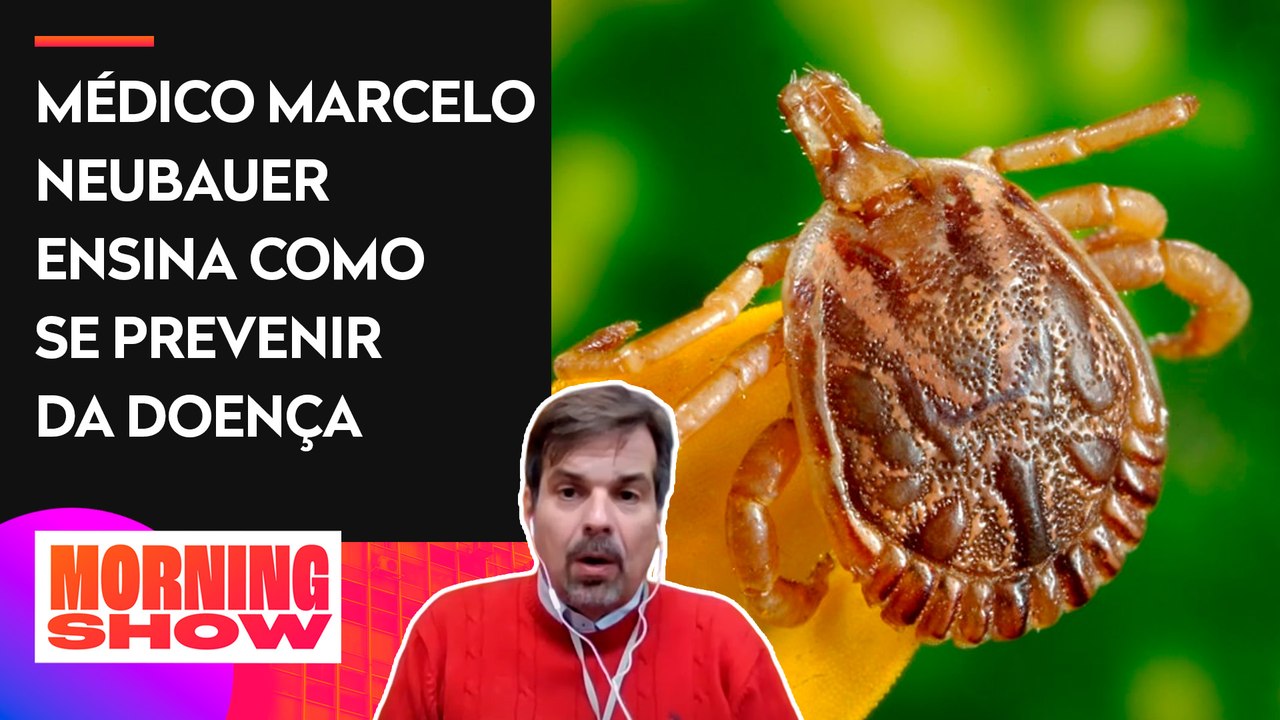 Saiba quais são os sintomas da febre maculosa