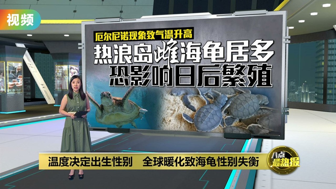 温度决定出生性别    全球暖化致海龟性别失衡
