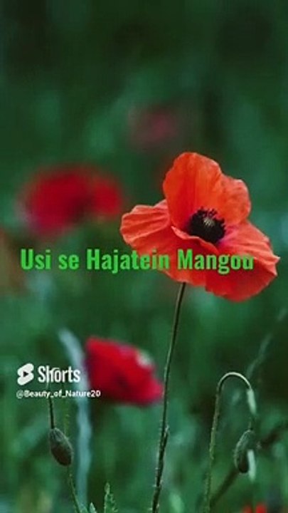 #Beautiful Hamd#Youtube#Shorts#Shorts with lyrics#Youtube shorts#Beautiful lyrics#