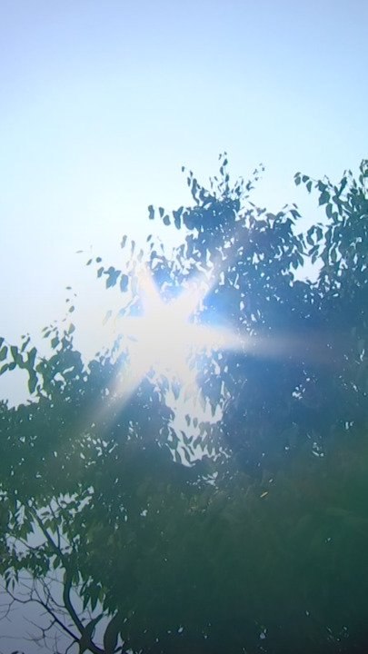 '50도 육박' 美 남부 김 피어올랐다…전세계 '살인 더위' 몸살