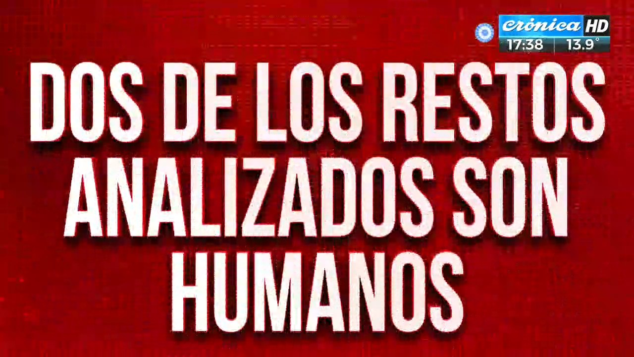 Femicidio  de Cecilia: dos de los restos analizados son humanos