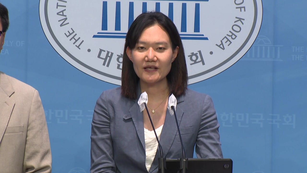 민주당 혁신위 "민주당 의원 전원 불체포특권 포기 서약하라" / YTN