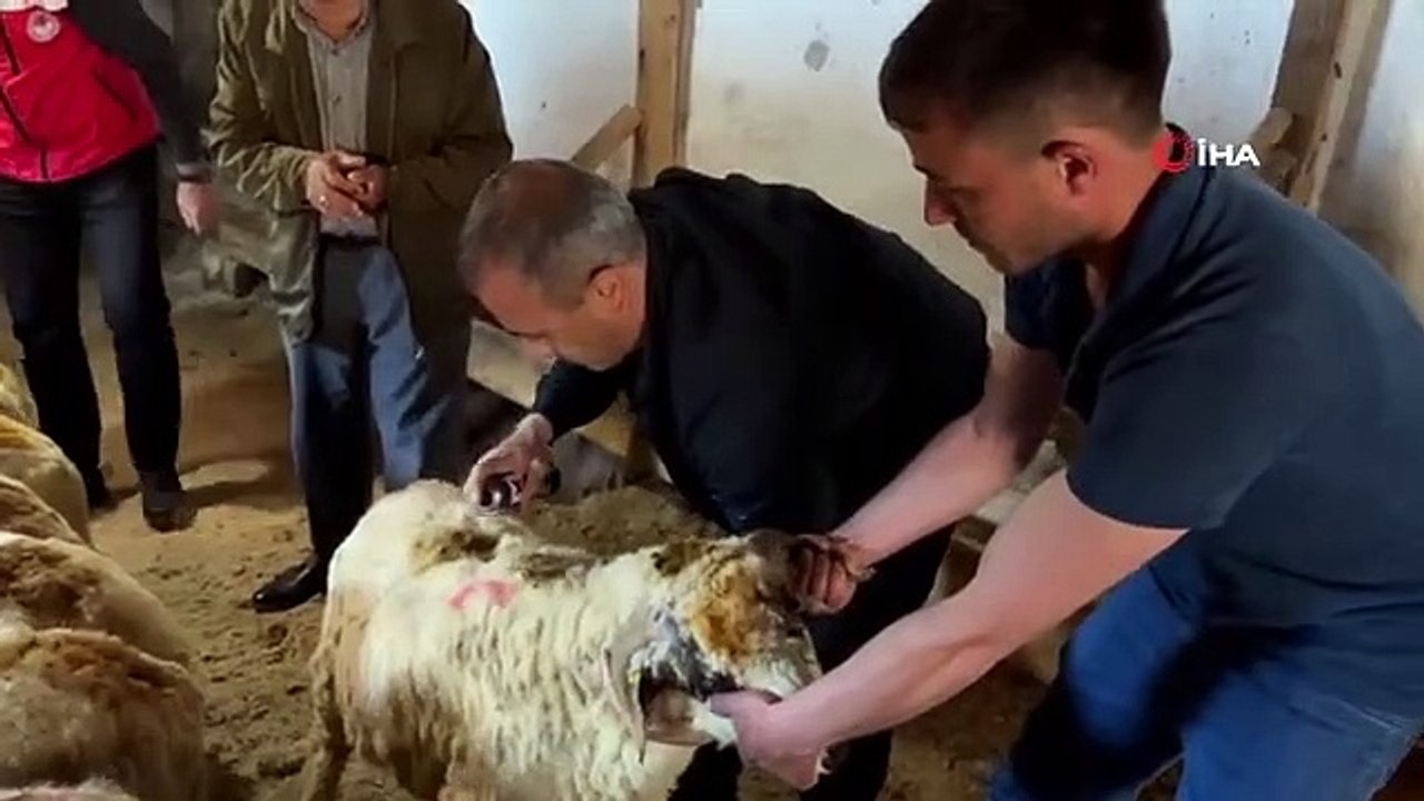 Vali Sonel, kurban bayramında yetim ve öksüzleri unutmadı