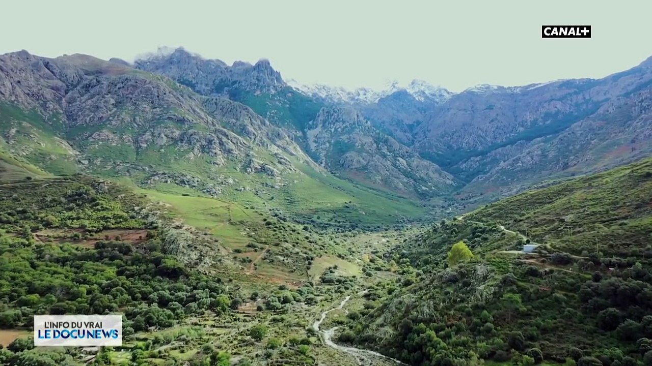 Briseurs d'omerta - Corse