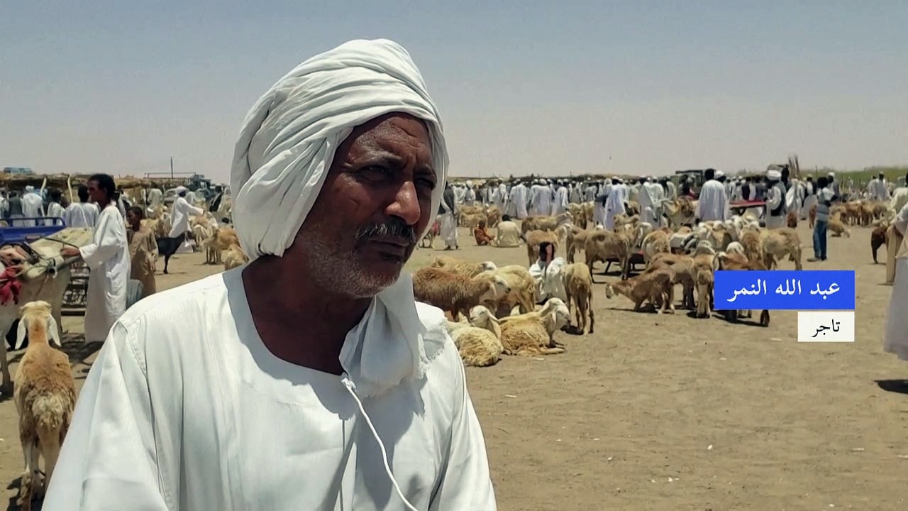 الحرب تحرم السودانيين من خروف العيد