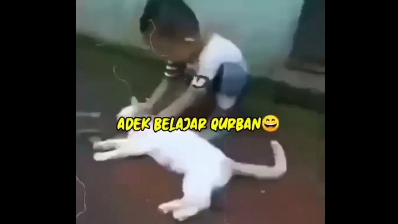 kurban idul adha