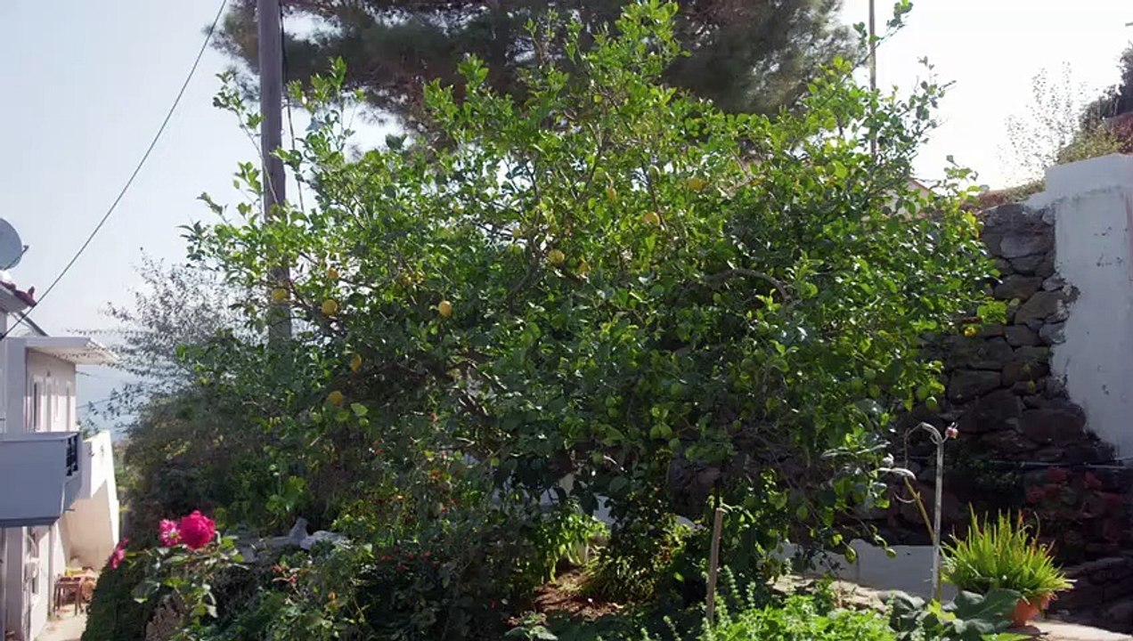 A Greek Odyssey with Bettany Hughes (2020) S01 E02 (Birthplace of the Gods) | DocuMonde