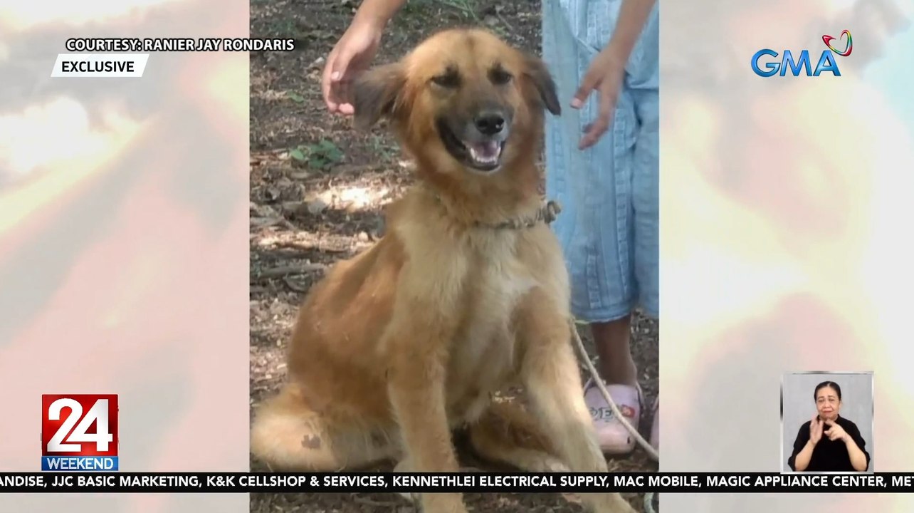 24 Oras Weekend Part 2: Asong naligaw kinatay, Barbie sa It's Showtime, gurong hataw sa Recognition Day, atbp.