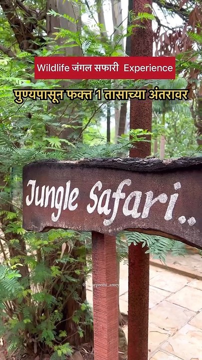 First time Jungle Safari In Pune