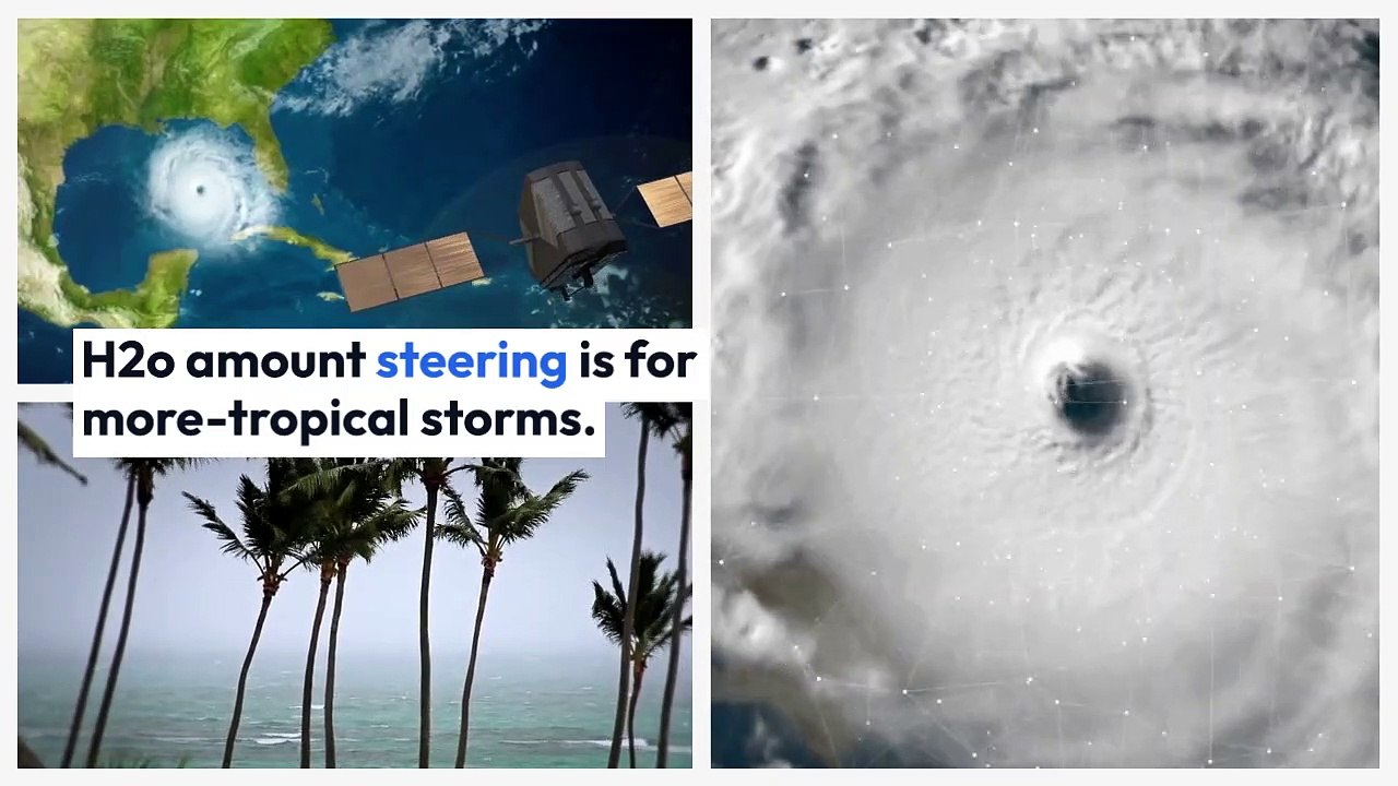 Everything About weather jacksonville