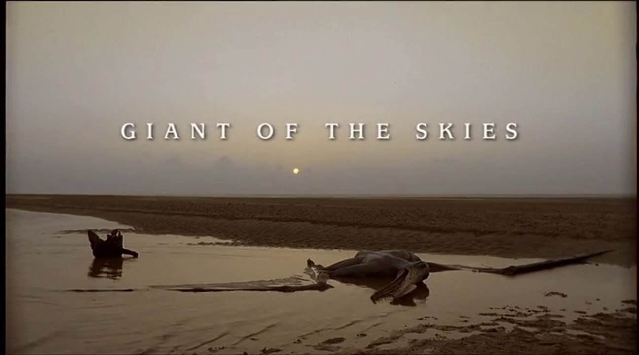 Walking With Dinosaurs - Ep 4 Giant of the Skies (1999) [576p]