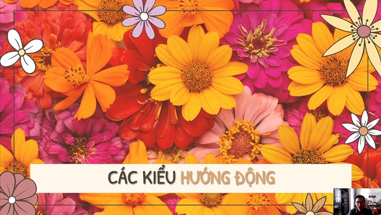 Sinh 11 - Bài 23 Hướng động