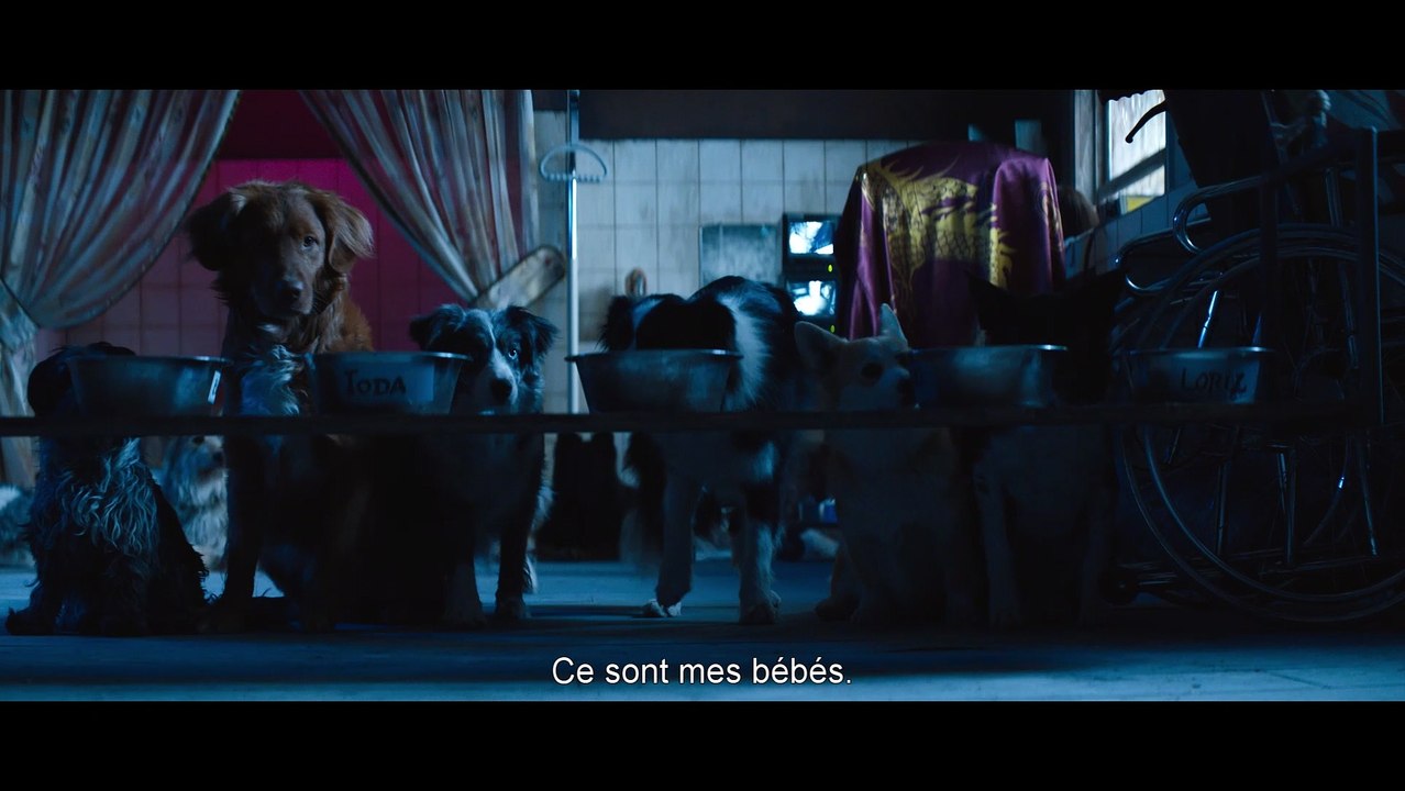 DogMan - bande-annonce VOST du nouveau film de Luc Besson