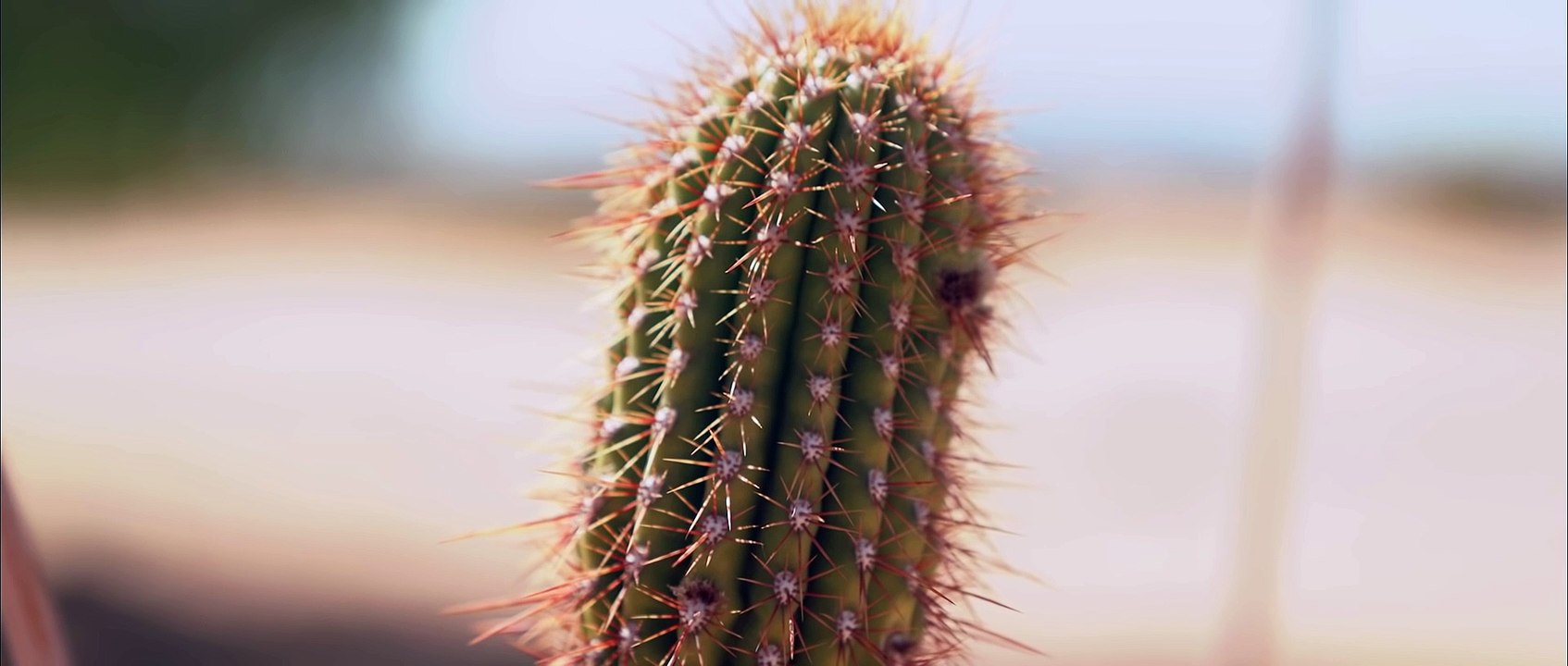 The Beginning of The End (257)