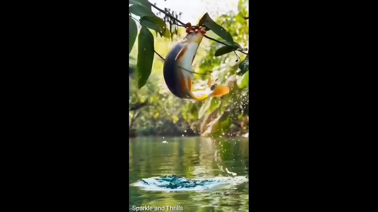 The Ultimate Funny Animals Compilation Guaranteed Laughter