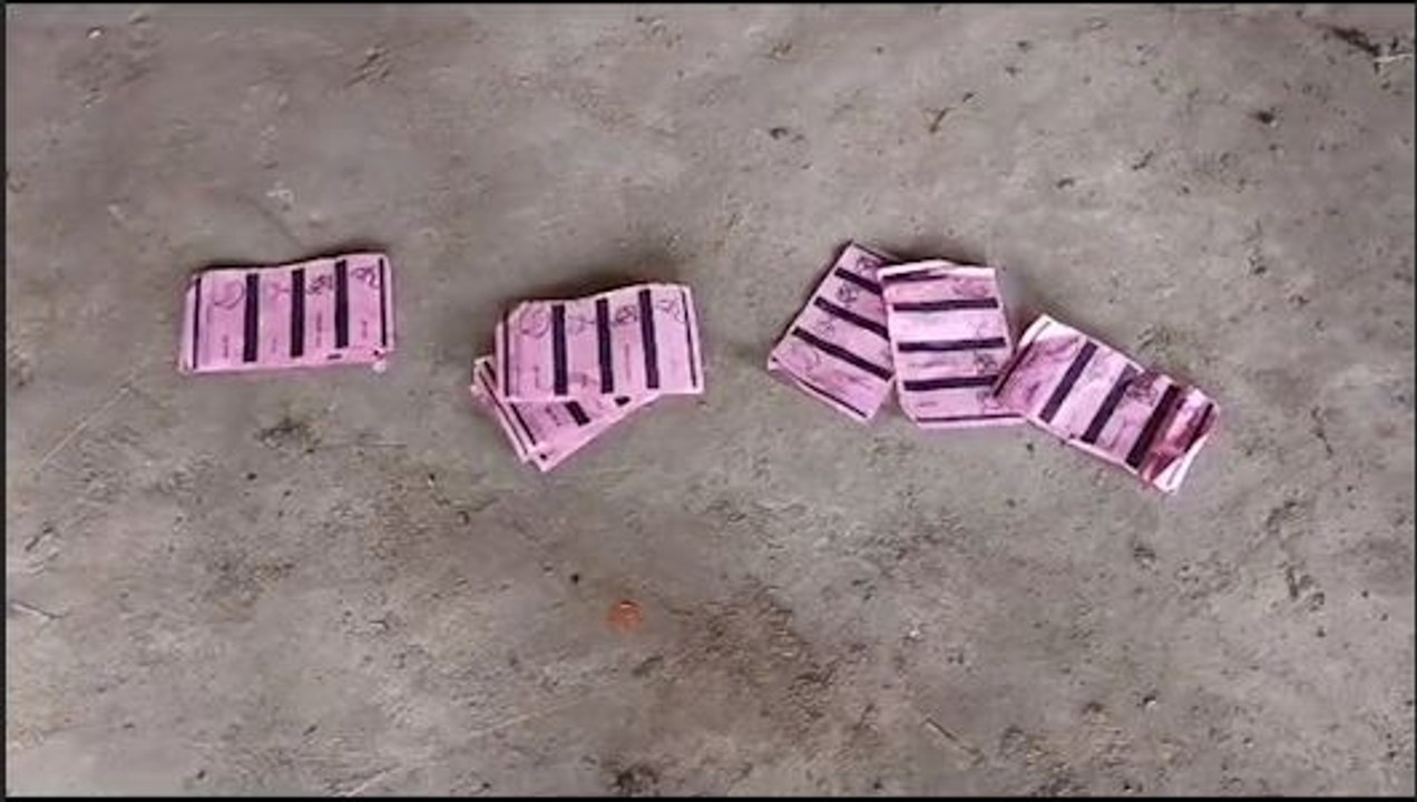 বিরোধী ভোট পাওয়া শয়ে শয়ে ব্যালট রাস্তায়, পাণ্ডুয়ায় ভোট লুঠ তৃণমূলের? অভিযোগ