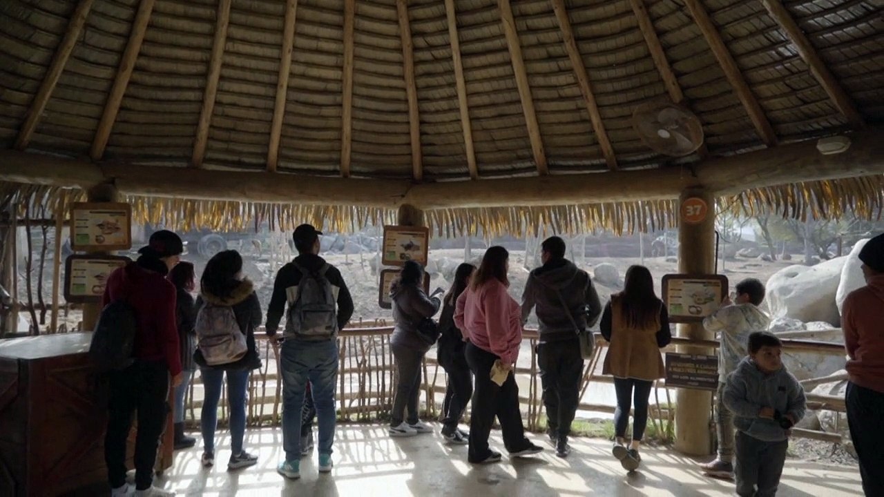 Esperança para os burros da Somália