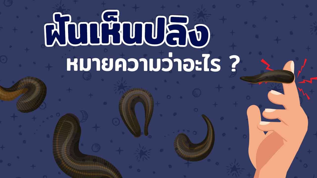 ฝันเห็นปลิง แปลว่าอะไร ? ทำนายฝันหรือจะโชคดีถูกหวยมาดู