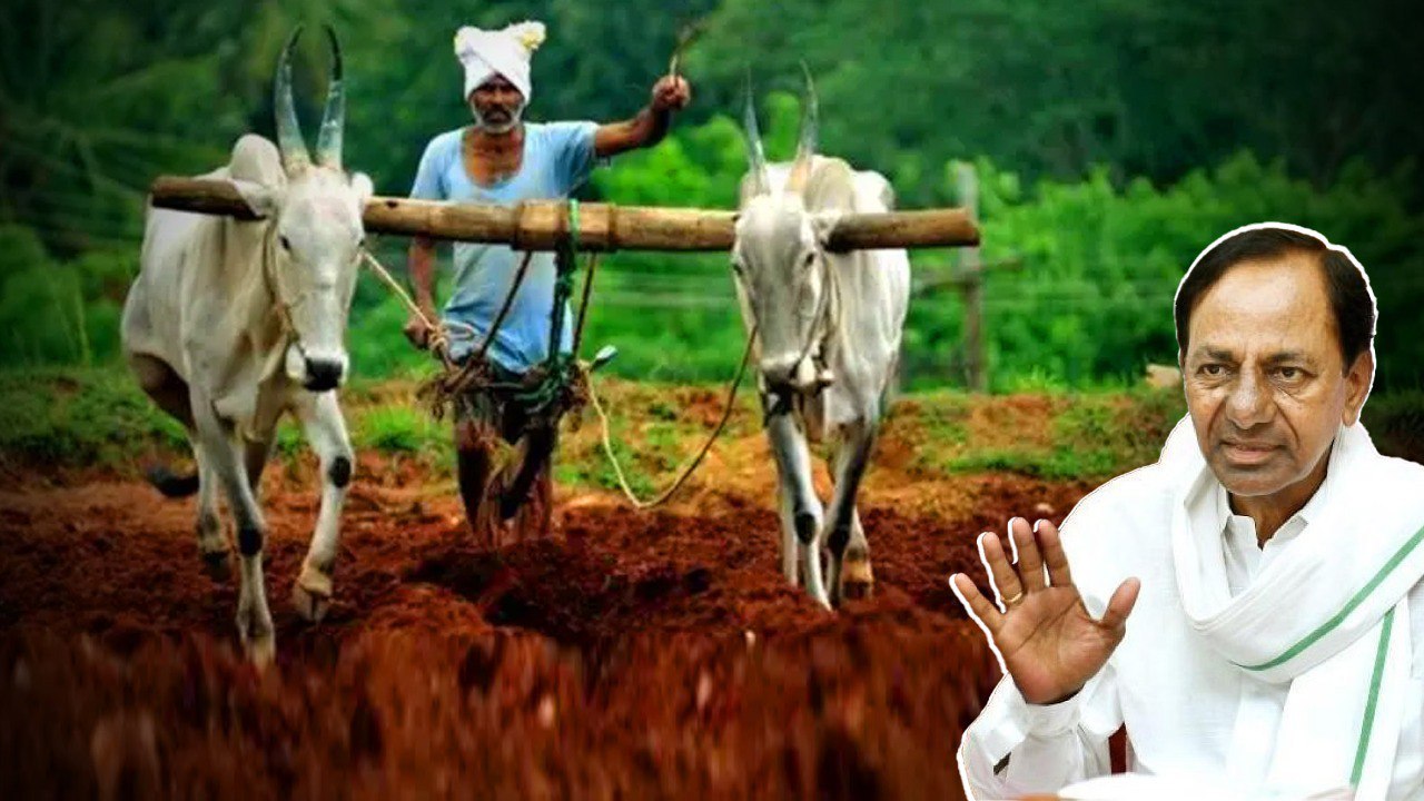 Telangana Government... అర్హులైన రైతులకి రుణమాఫీ... | Telugu OneIndia