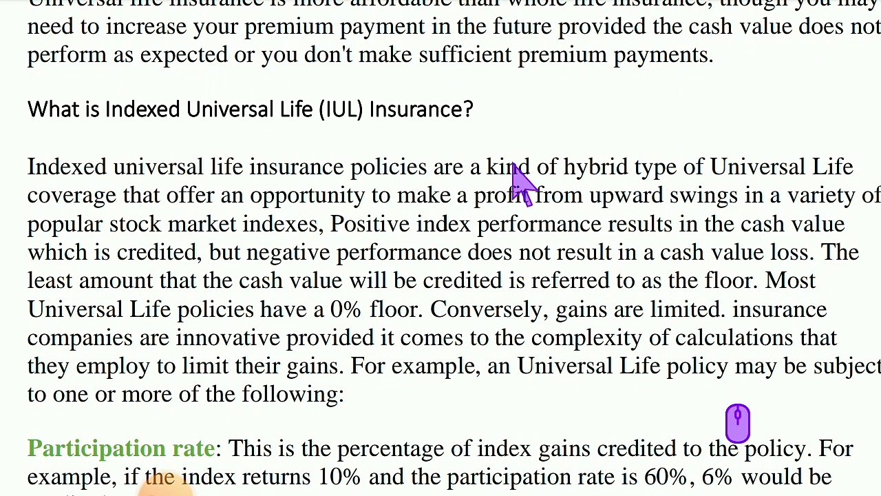 Discover the 4 Main Types of Life Insurance You Should Know About