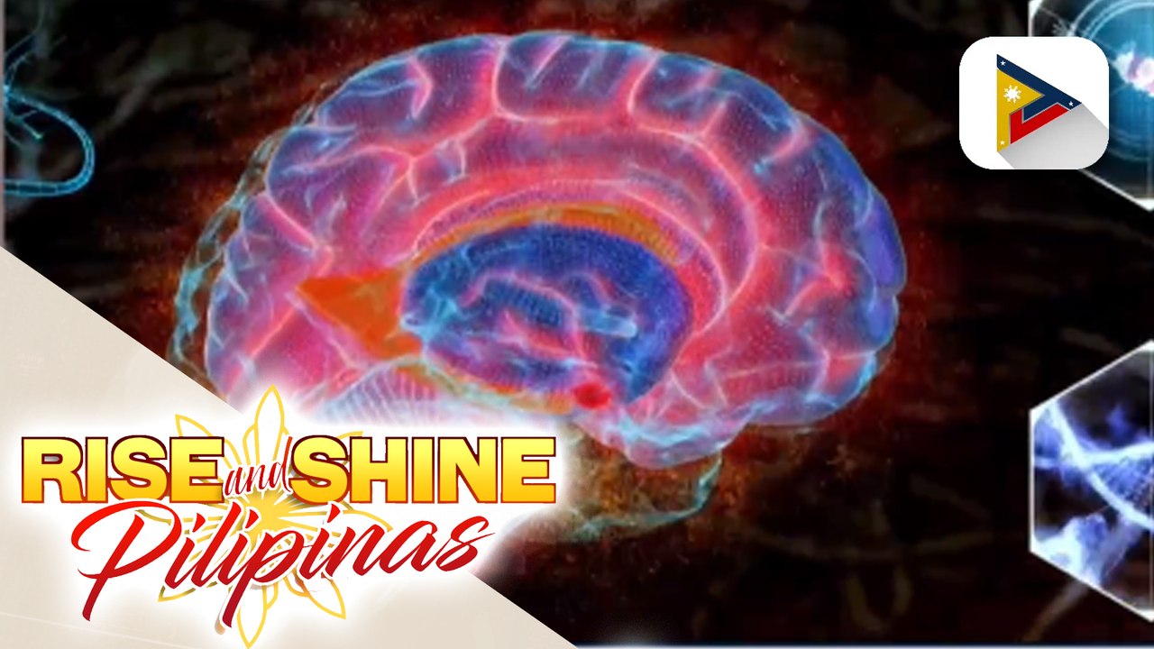 SAY ni DOK | Habit to improve memory and brain functions